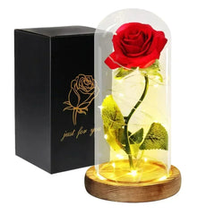 Eternal Rose Glow Vase